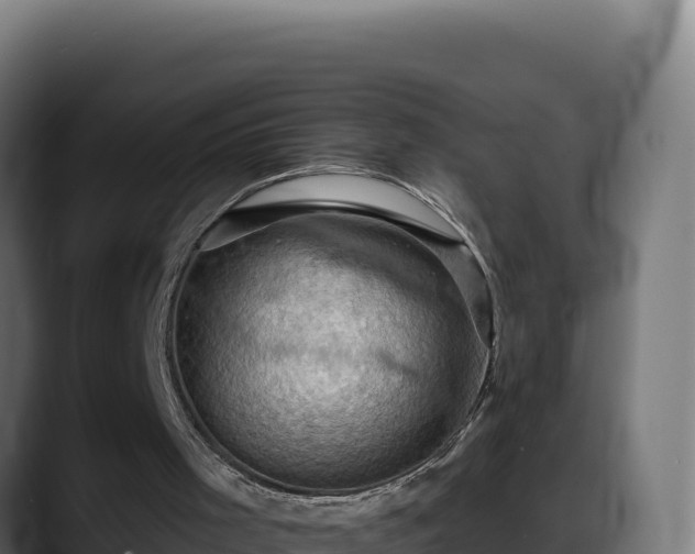 X0000088380001200705291357