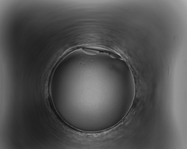 X0000088380002200705291357