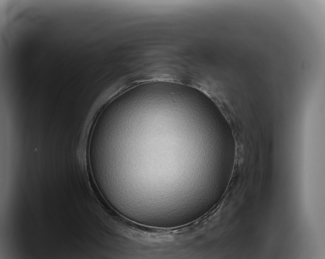 X0000088380004200705291357