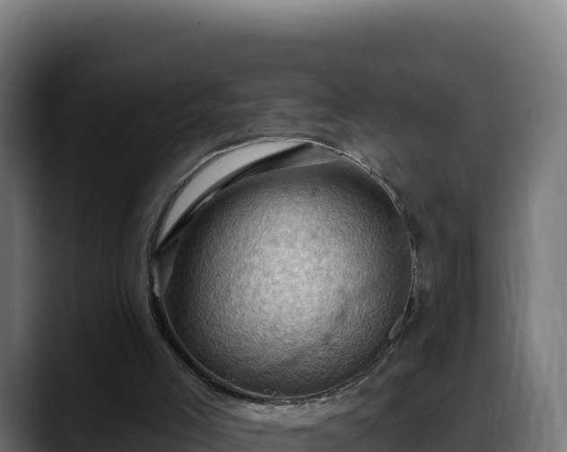 X0000088380005200705291357