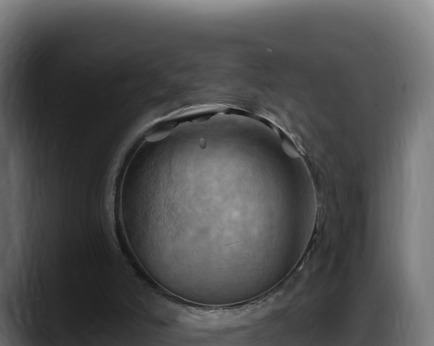 X0000088380006200705291357