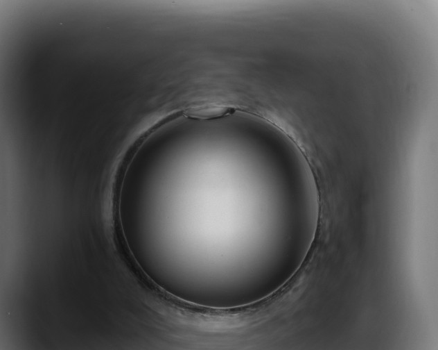 X0000088380008200705291357