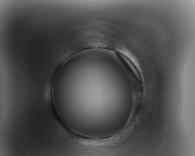 X0000088380009200705291357
