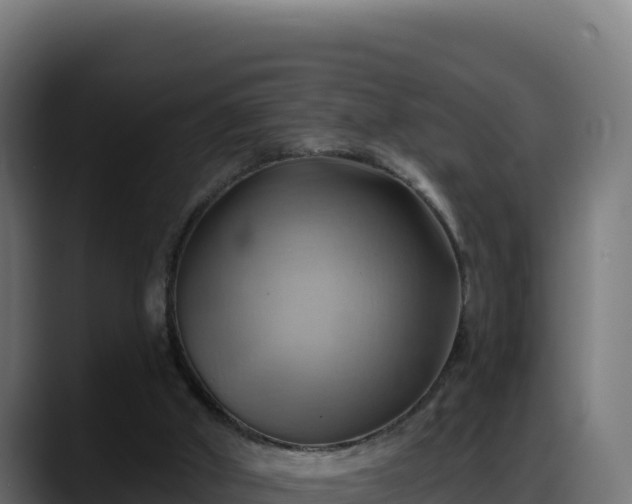 X0000088380010200705291357