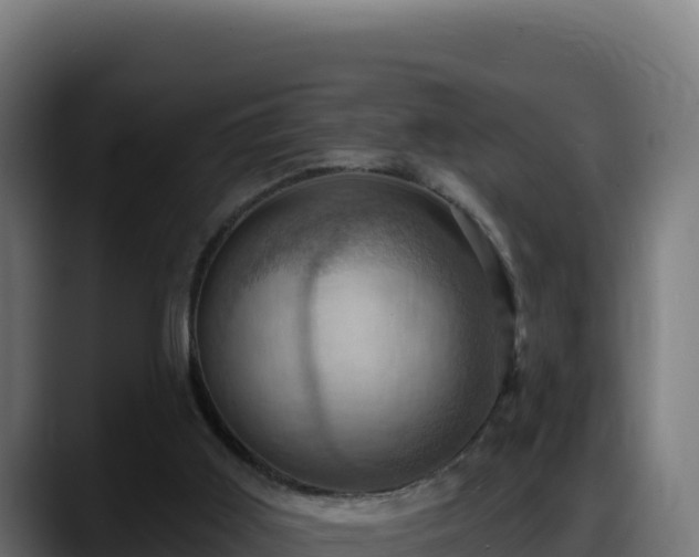 X0000088380011200705291357