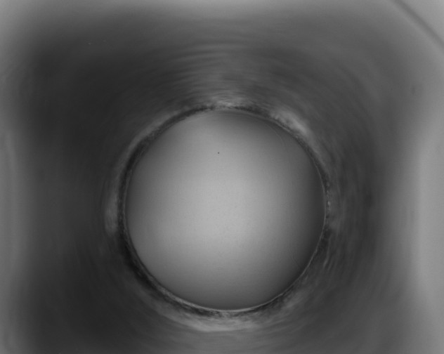 X0000088380012200705291357