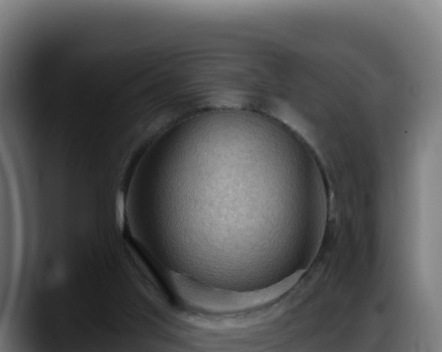 X0000088380013200705291357