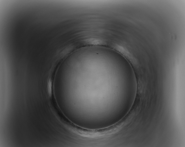 X0000088380014200705291357
