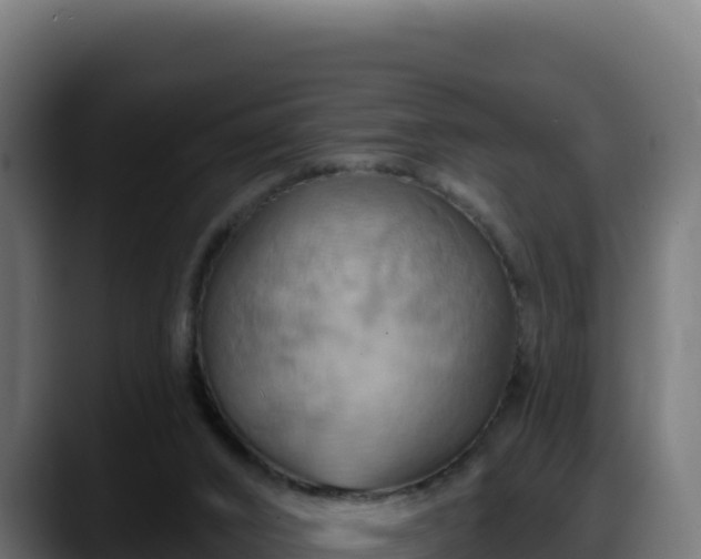 X0000088380016200705291357