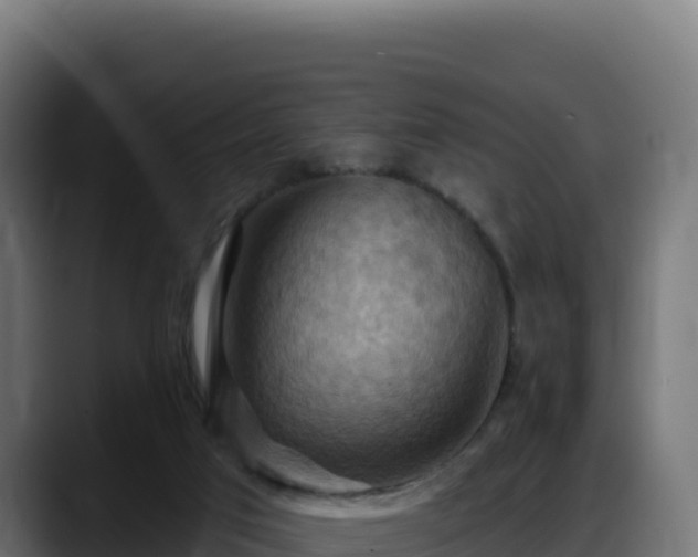 X0000088380017200705291357