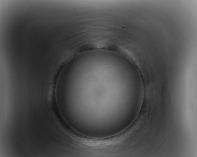 X0000088380018200705291357