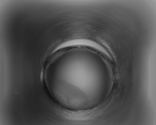 X0000088380019200705291357