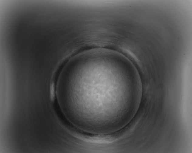 X0000088380020200705291357