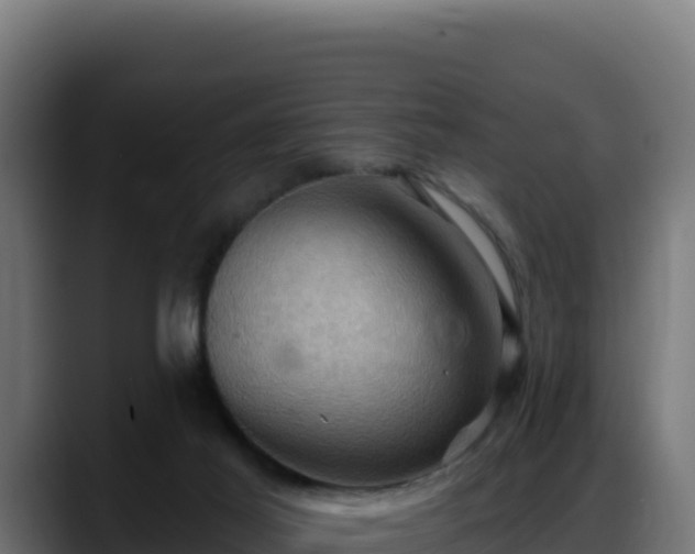 X0000088380021200705291357