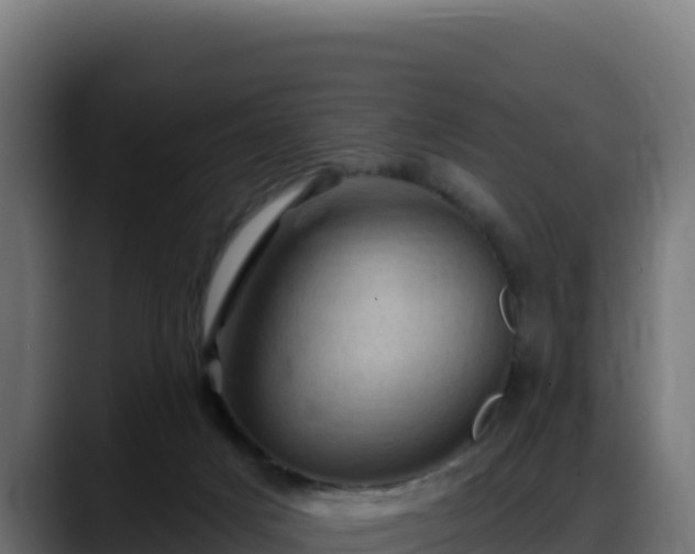 X0000088380025200705291357