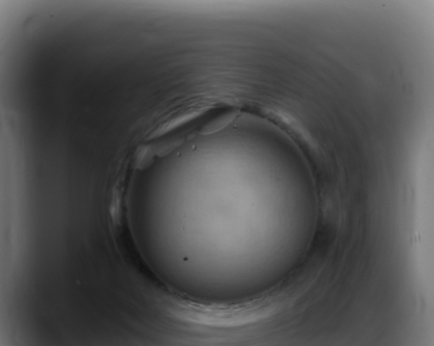 X0000088380026200705291357
