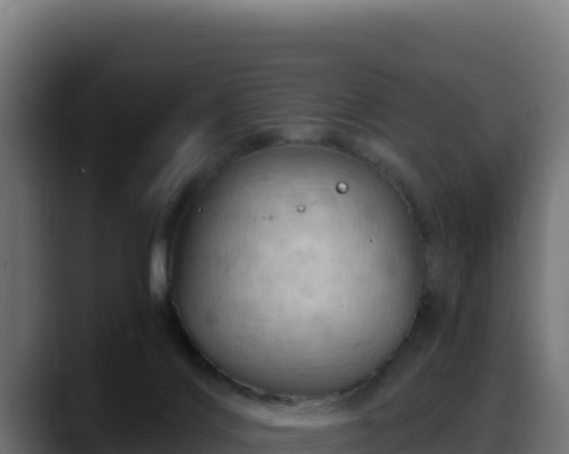 X0000088380028200705291357