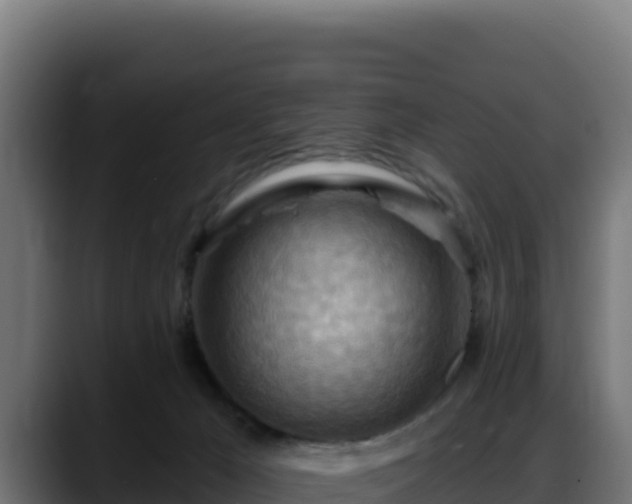 X0000088380029200705291357
