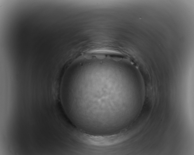 X0000088380030200705291357