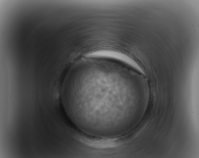 X0000088380032200705291357