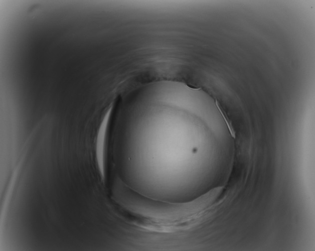 X0000088380033200705291357
