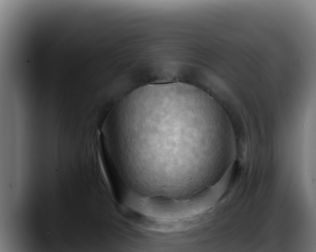 X0000088380037200705291357