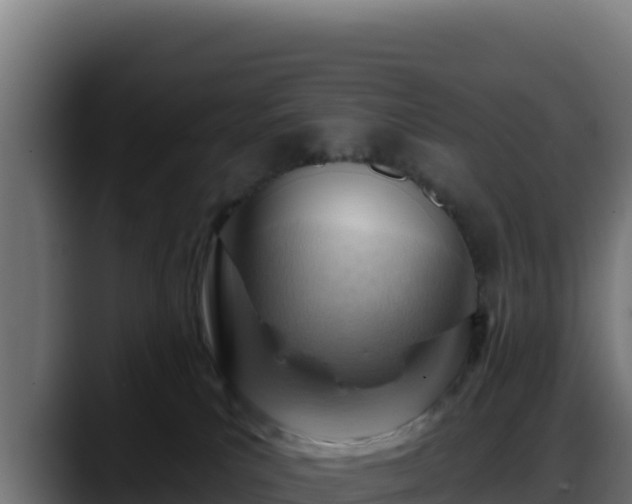 X0000088380039200705291357