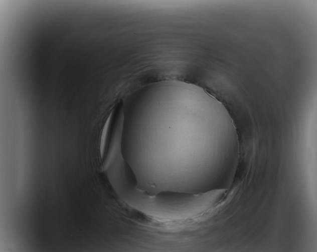 X0000088380041200705291357