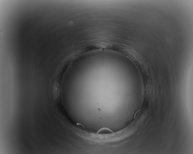 X0000088380043200705291357