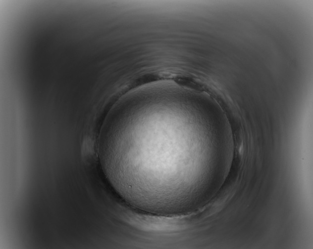 X0000088380044200705291357
