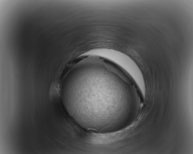 X0000088380045200705291357