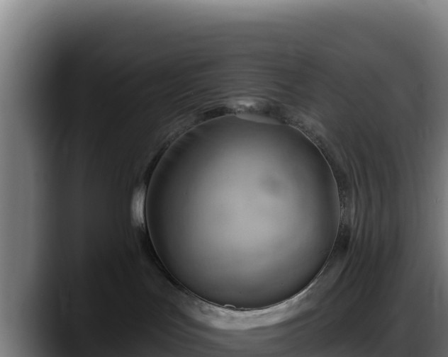 X0000088380047200705291356
