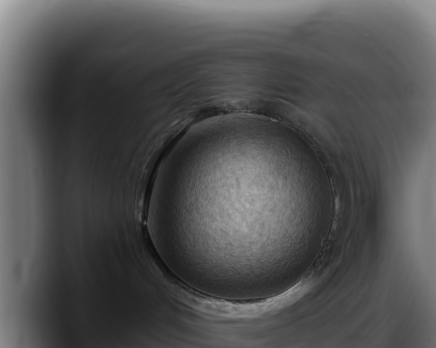 X0000088380048200705291356