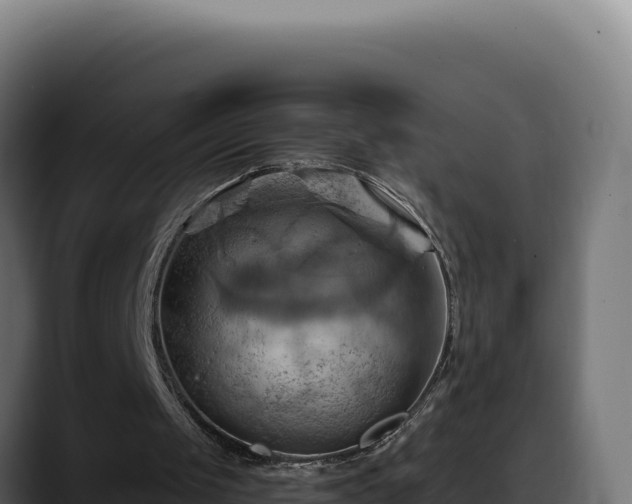 X0000088380049200705291356