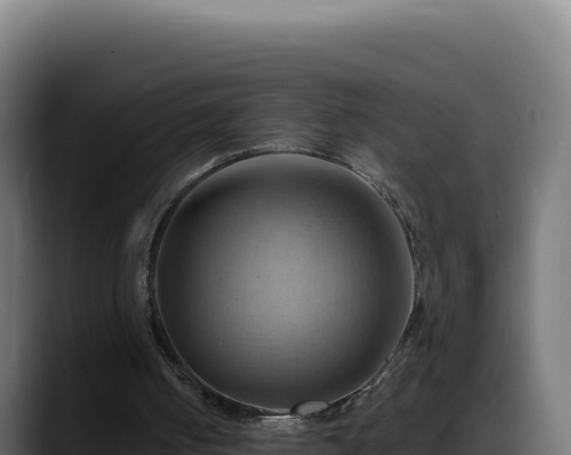 X0000088380050200705291356