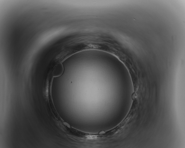 X0000088380052200705291356