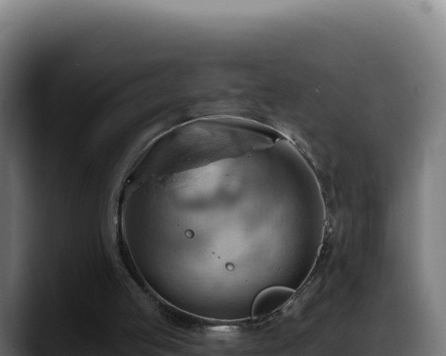 X0000088380053200705291356
