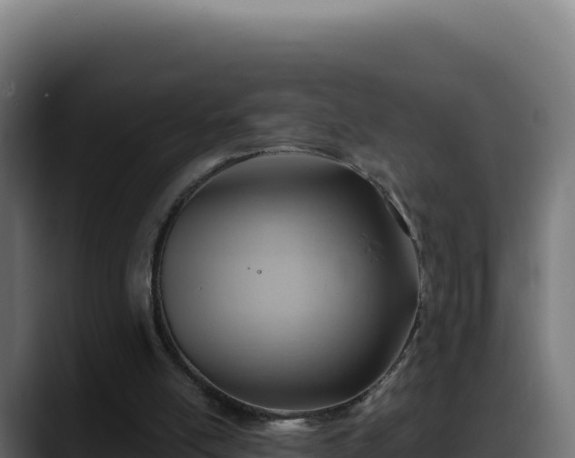 X0000088380054200705291356
