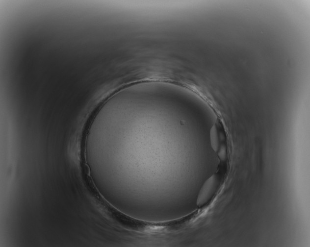X0000088380055200705291356