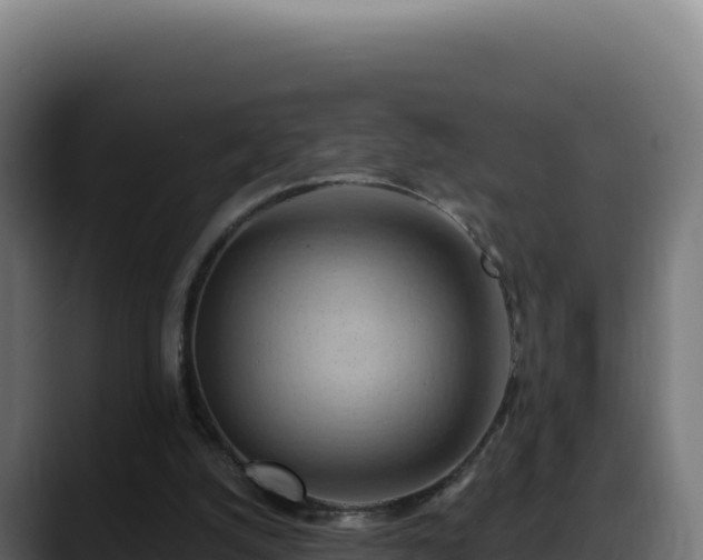 X0000088380056200705291356