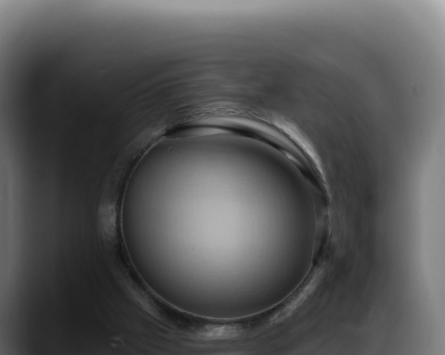 X0000088380057200705291356