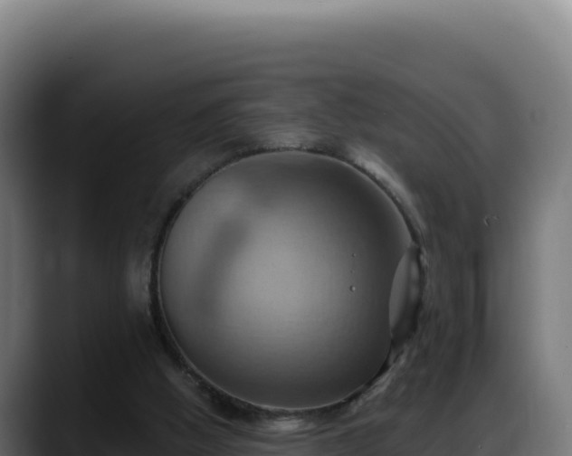 X0000088380058200705291356