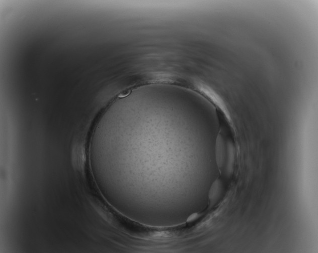 X0000088380059200705291356