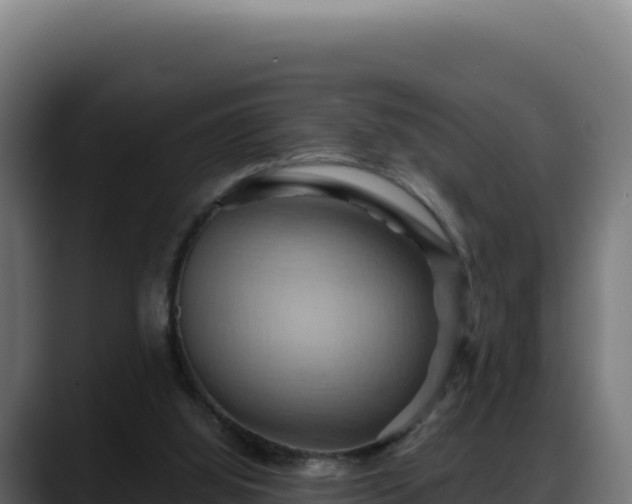 X0000088380060200705291356