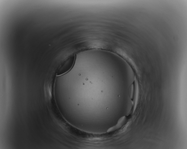 X0000088380062200705291356