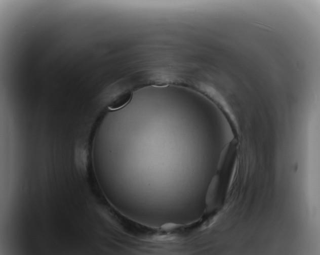 X0000088380063200705291356