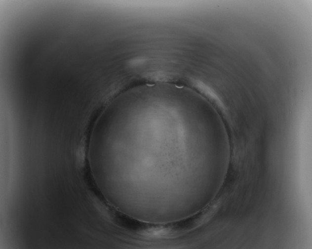 X0000088380065200705291356