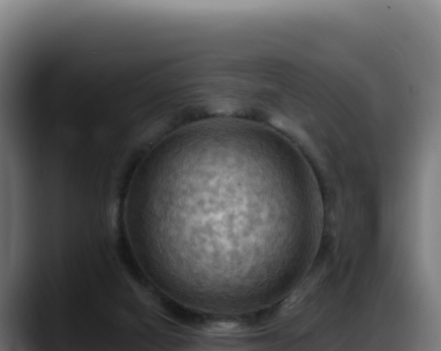 X0000088380066200705291356