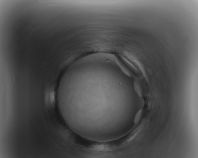 X0000088380067200705291356