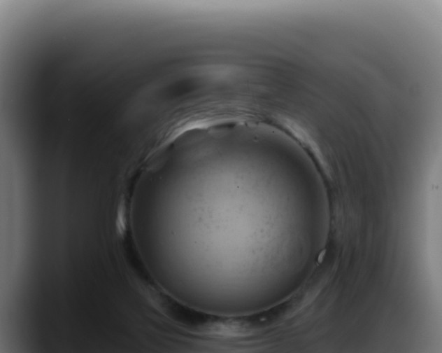 X0000088380069200705291356